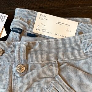 American Eagle Outfitters Light Blue Corduroy Pants